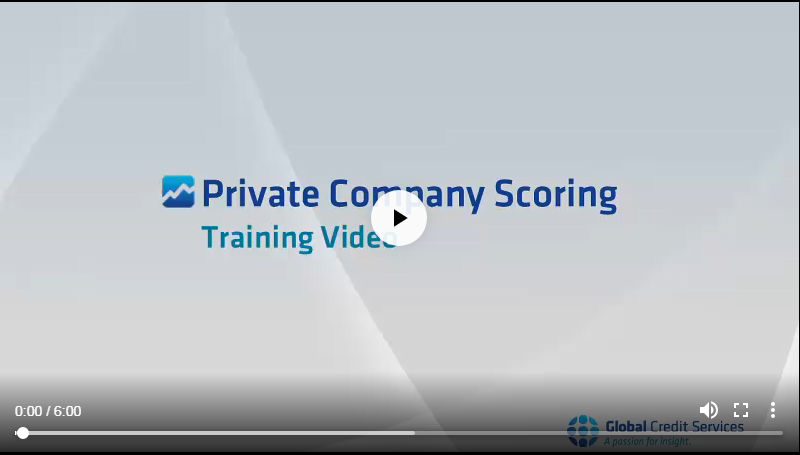 Video Narration